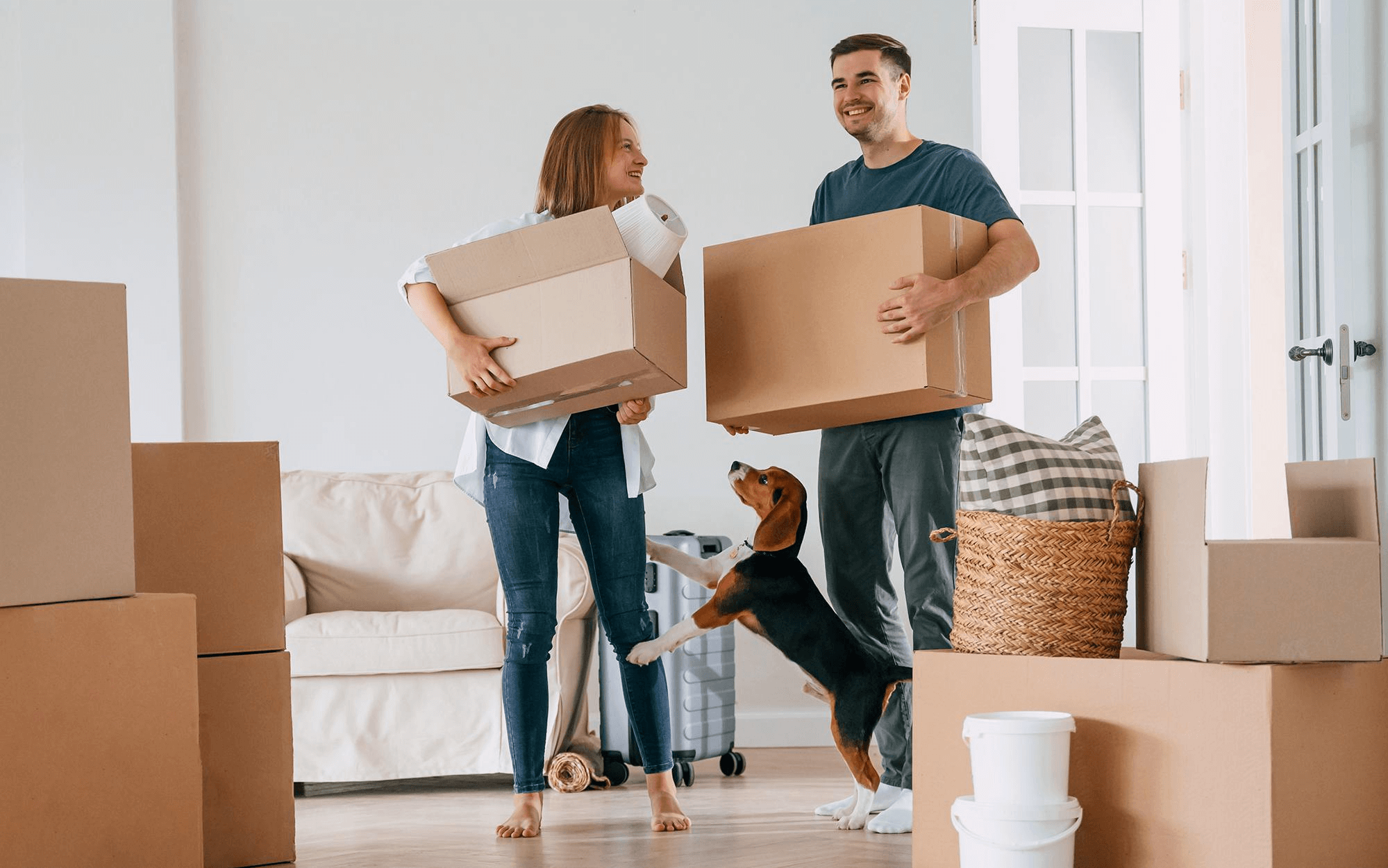 Move in – Move out-img